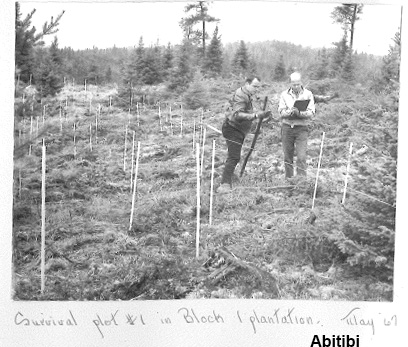 abitibi 2 33